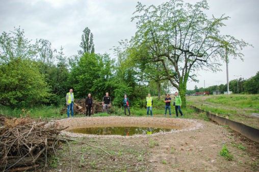 Group photo spawning grounds