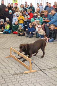 Hafenfest Nürnberg