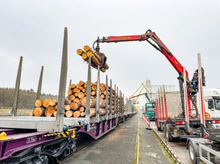 Verladung von Holzstämmen auf einen Güterzug